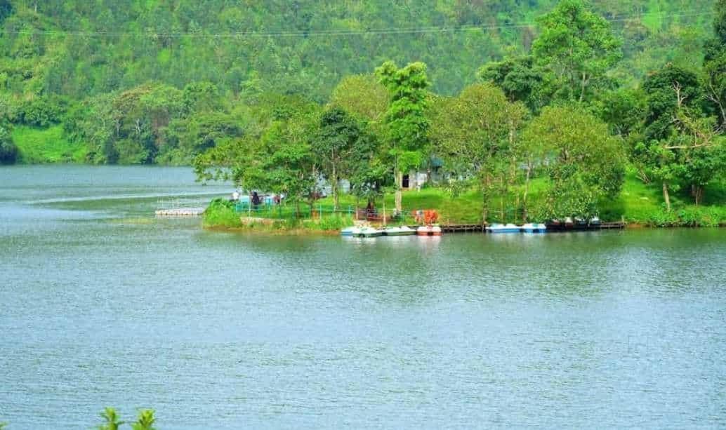 Munnar Lush Greens Bagian luar foto
