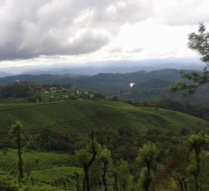 Munnar Lush Greens Bagian luar foto