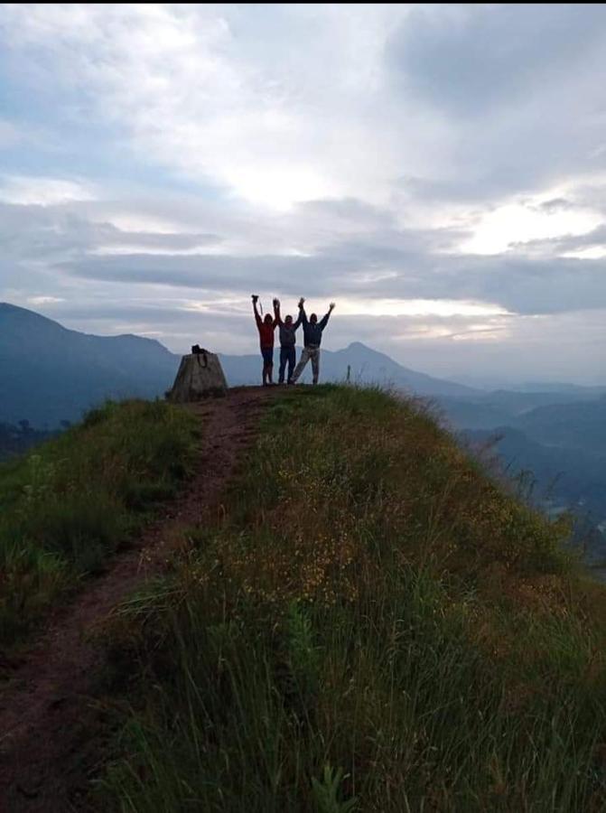 Munnar Lush Greens Bagian luar foto