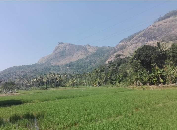 Munnar Lush Greens Bagian luar foto