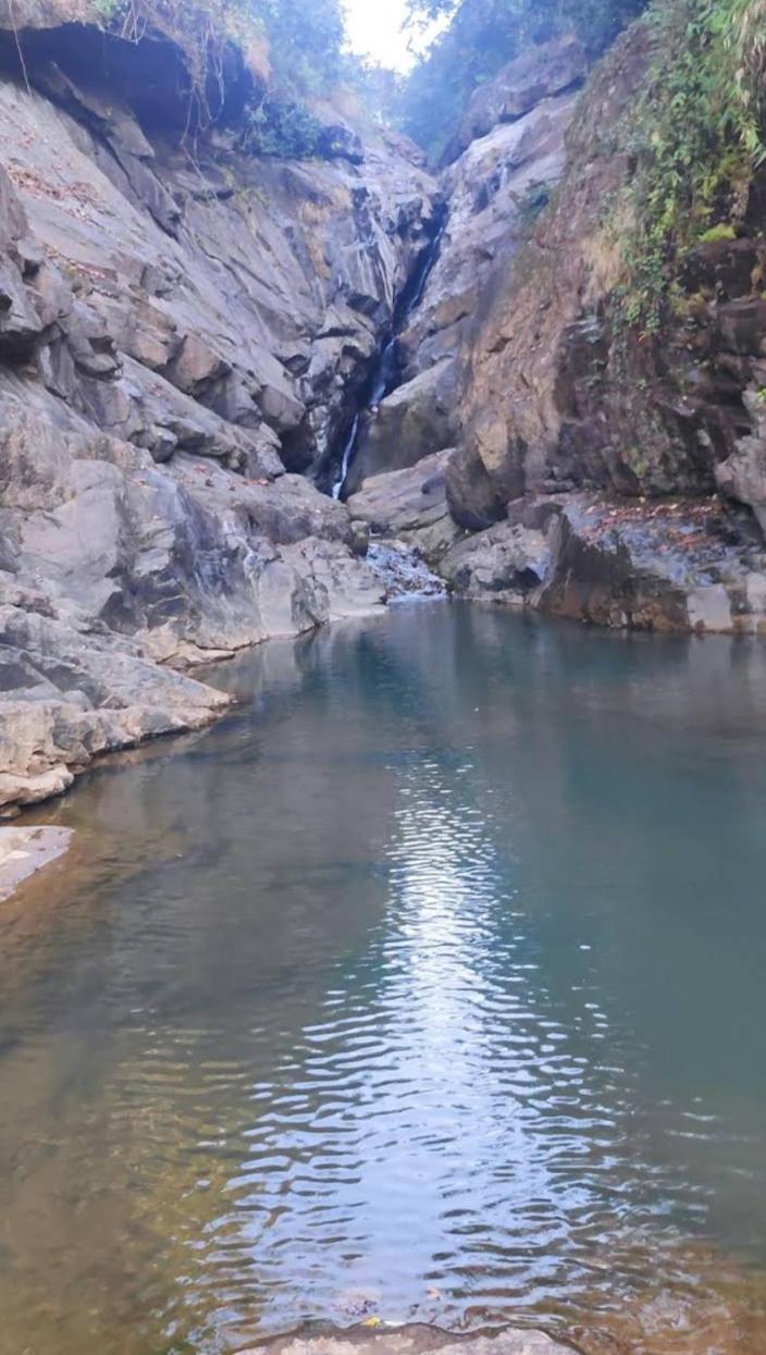 Munnar Lush Greens Bagian luar foto
